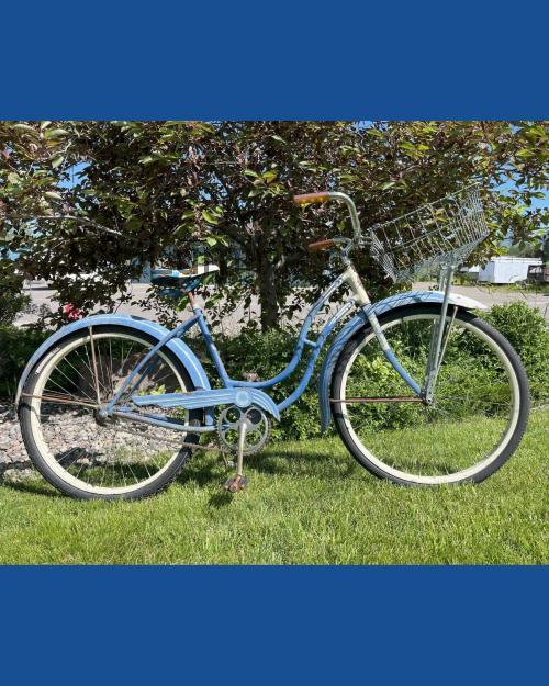 Schwinn Admiral ficha técnica y opiniones